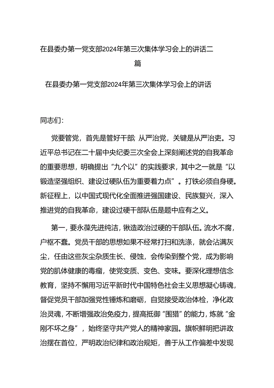 在县委办第一党支部2024年第三次集体学习会上的讲话二篇.docx_第1页