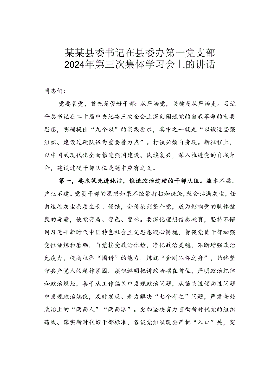 某某县委书记在县委办第一党支部2024年第三次集体学习会上的讲话.docx_第1页