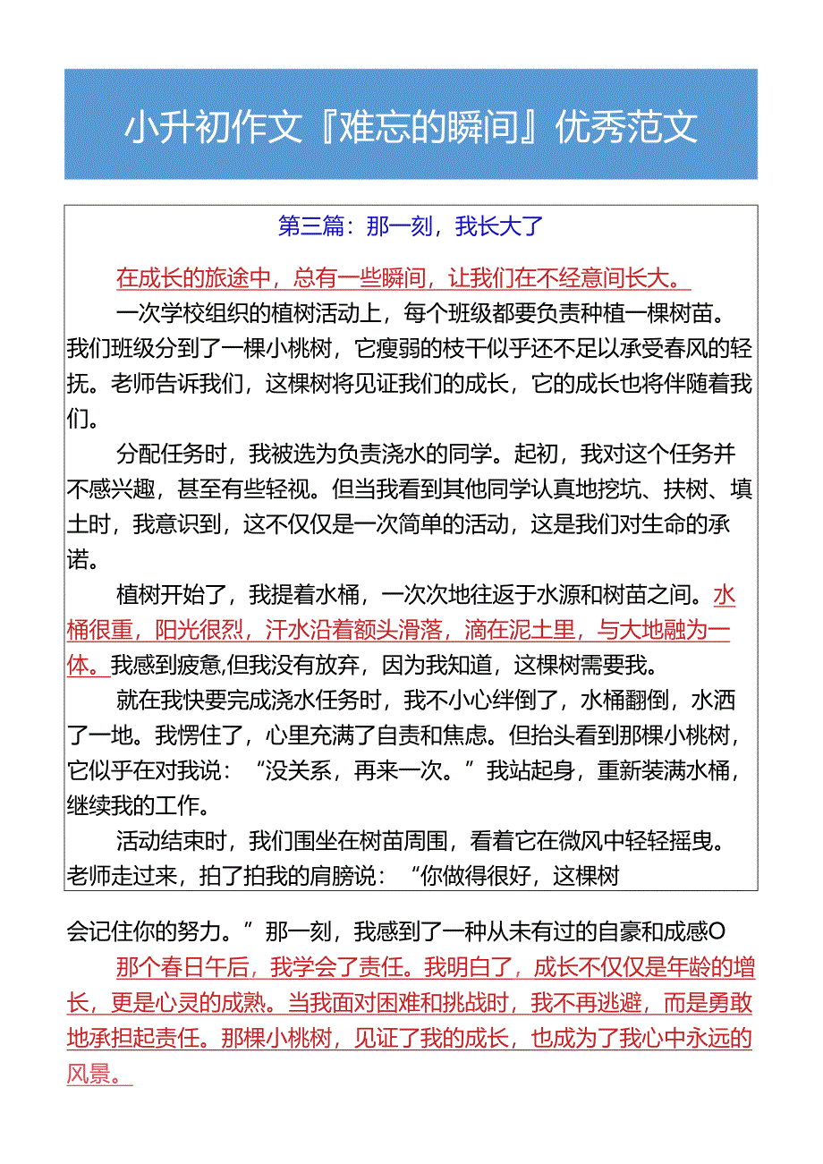 小升初作文难忘的瞬间优秀范文.docx_第3页