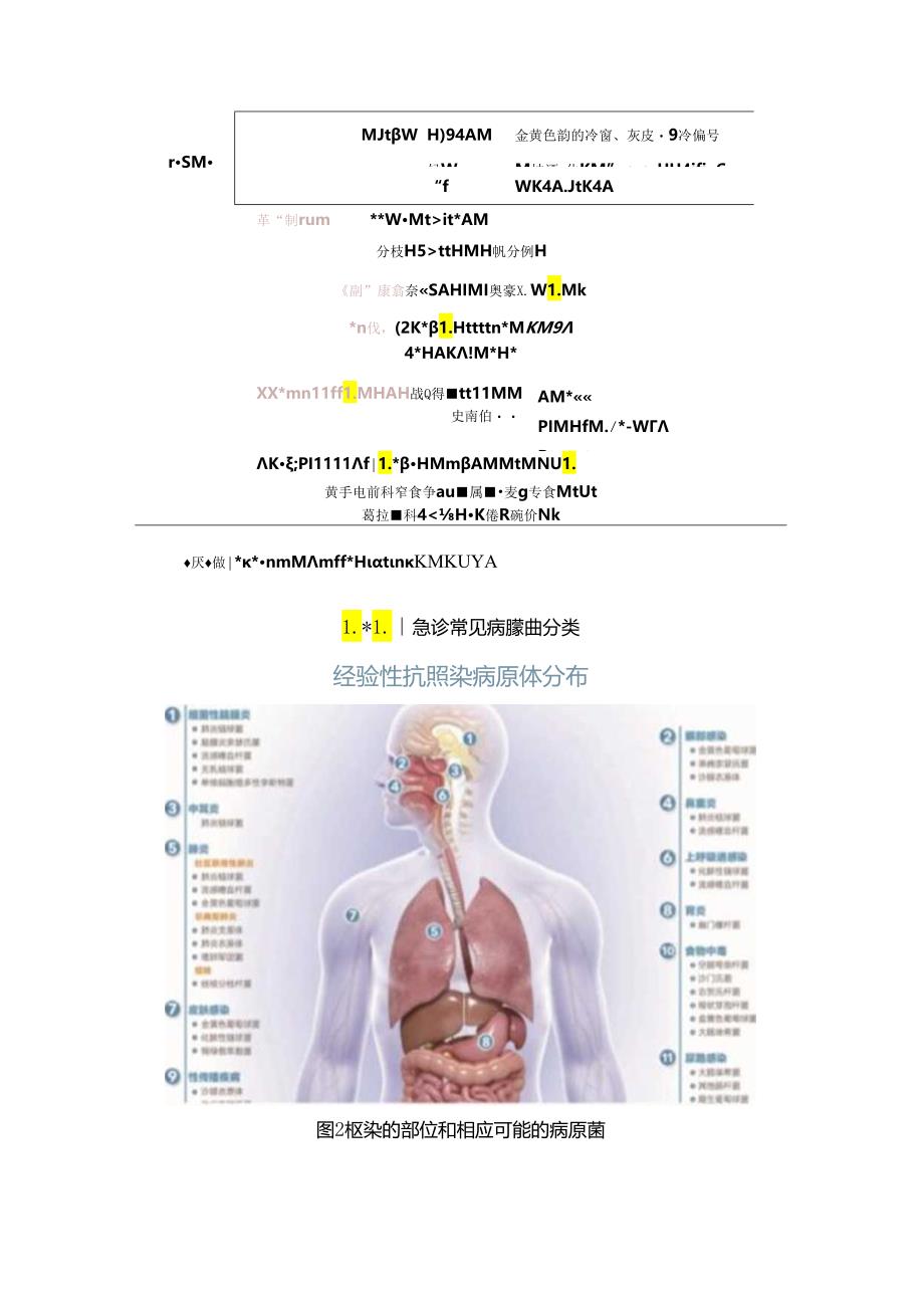 急诊成人细菌性感染诊疗2024（全文）.docx_第3页