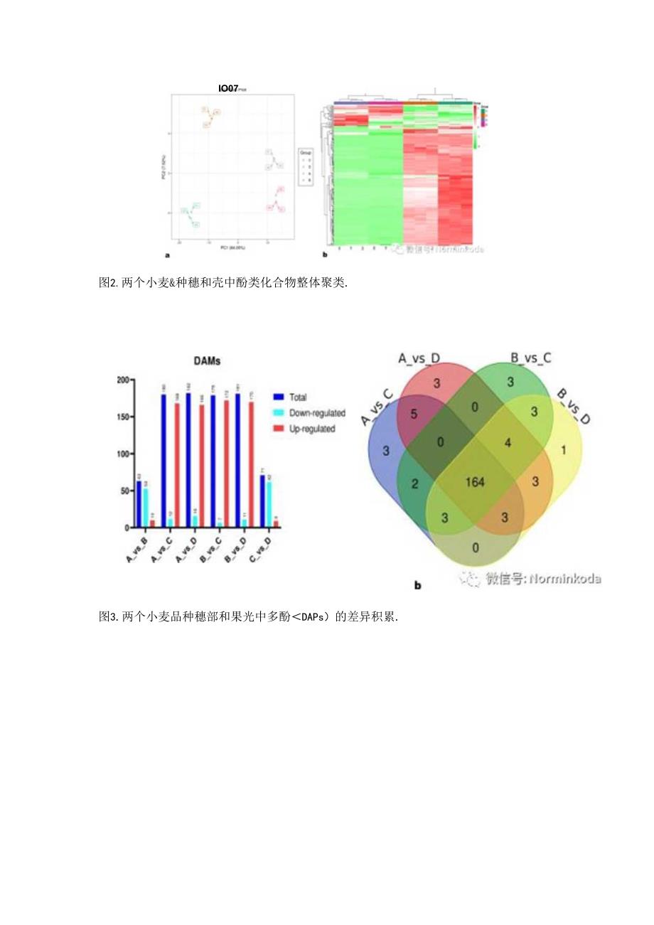 理化+激素+多酚代谢分析小麦穗上发芽抗性机制.docx_第2页