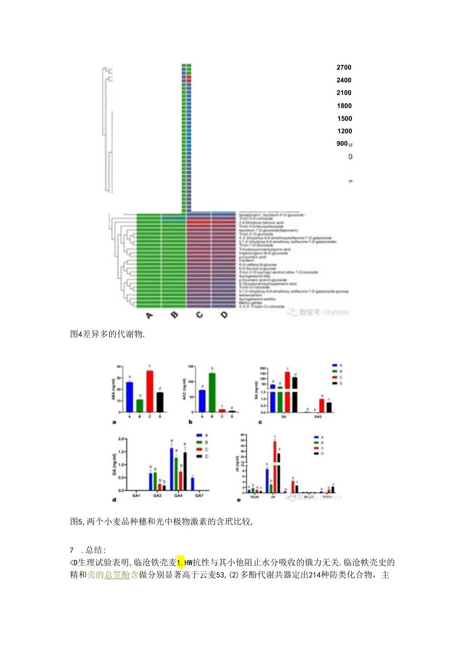 理化+激素+多酚代谢分析小麦穗上发芽抗性机制.docx_第3页