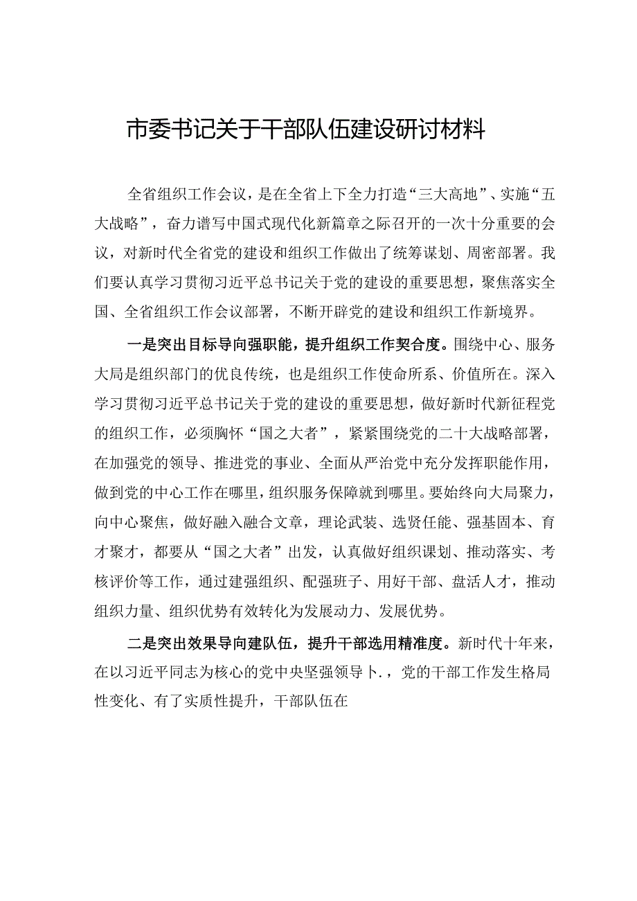 市委书记关于干部队伍建设研讨材料.docx_第1页