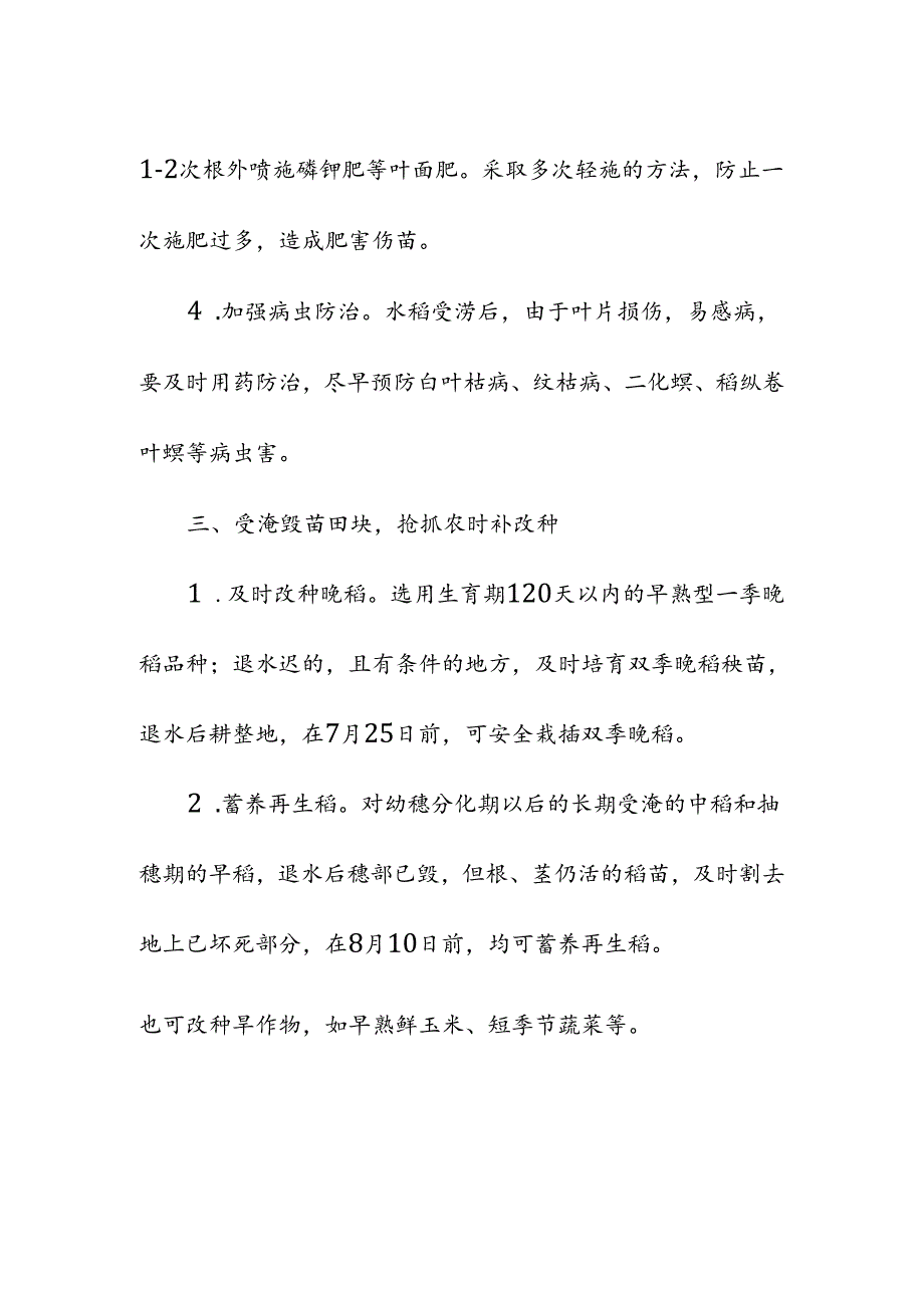 高标准农田水稻涝灾后田间管理.docx_第3页