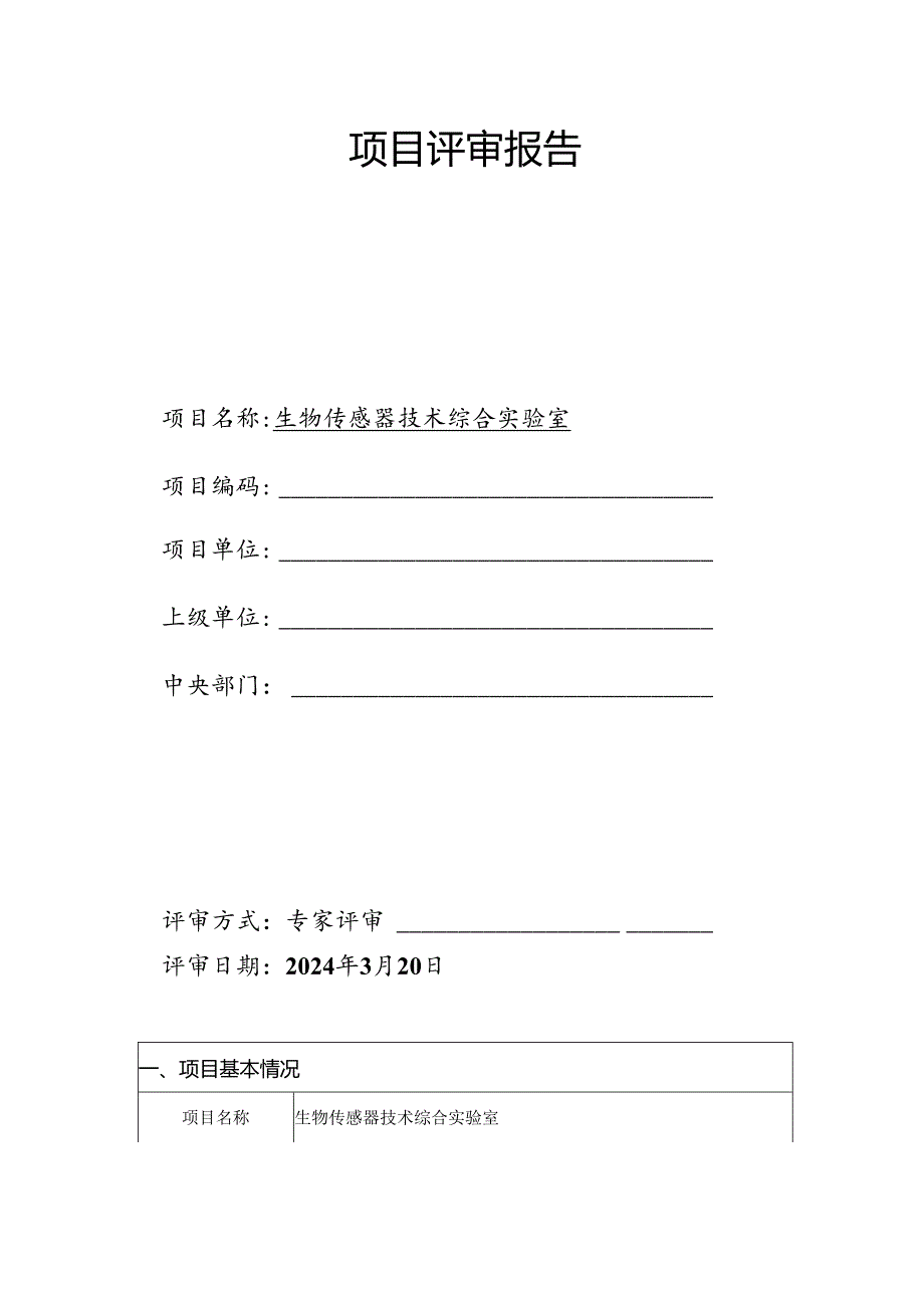 项目评审报告.docx_第1页