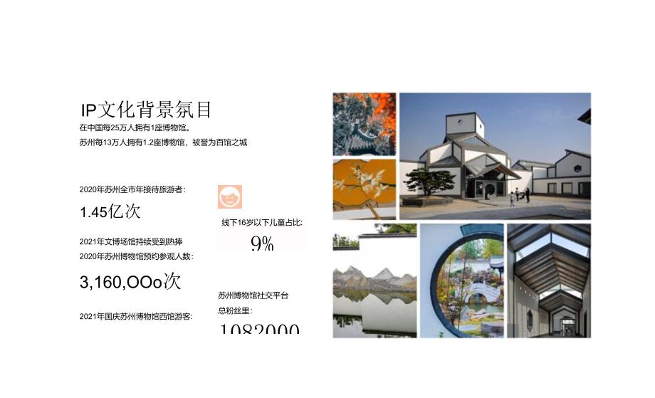 营销策划-苏州博物馆品牌手册.docx_第1页