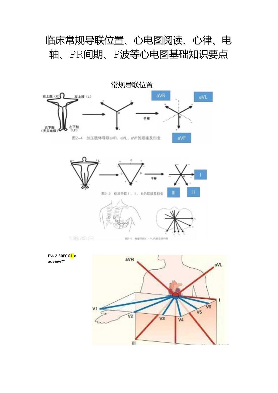临床常规导联位置、心电图阅读、心律、电轴、PR间期、P波等心电图基础知识要点.docx_第1页