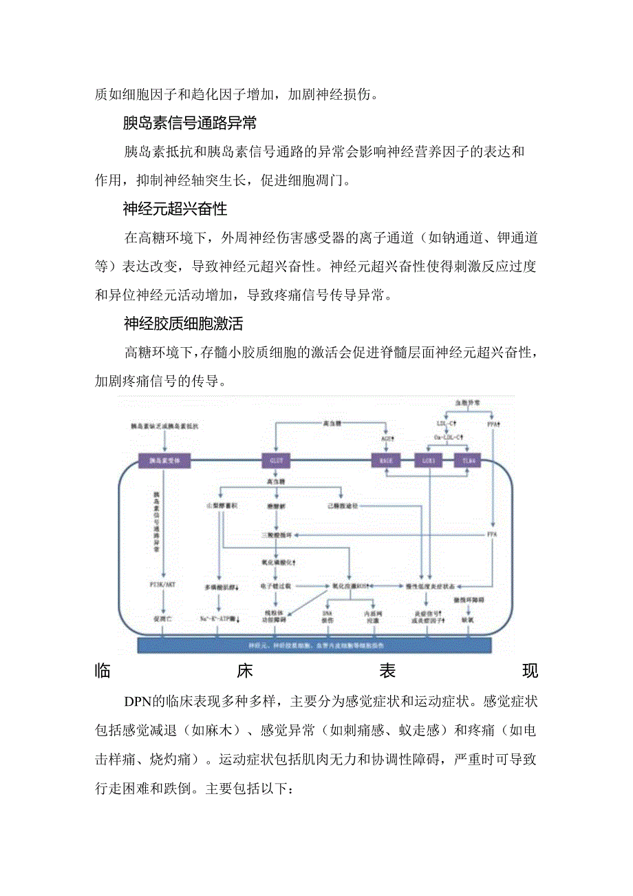 临床糖尿病周围神经痛疾病分类、危险因素、发病机制、临床表现、诊断、鉴别诊断及治疗要点.docx_第3页