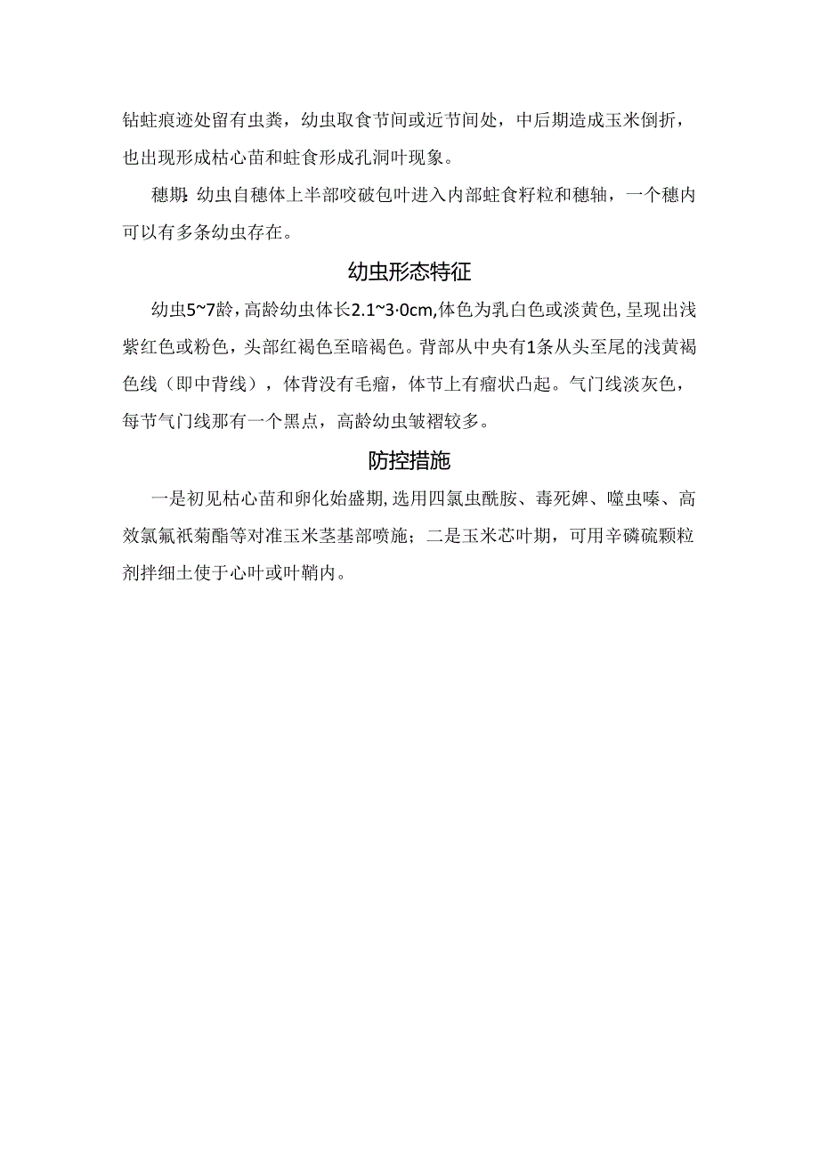 农业生产玉米田大螟危害症状、幼虫形态特征及防控措施.docx_第2页