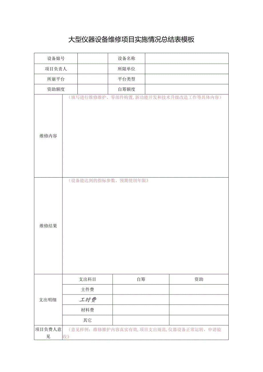 大型仪器设备维修项目实施情况总结表模板.docx_第1页