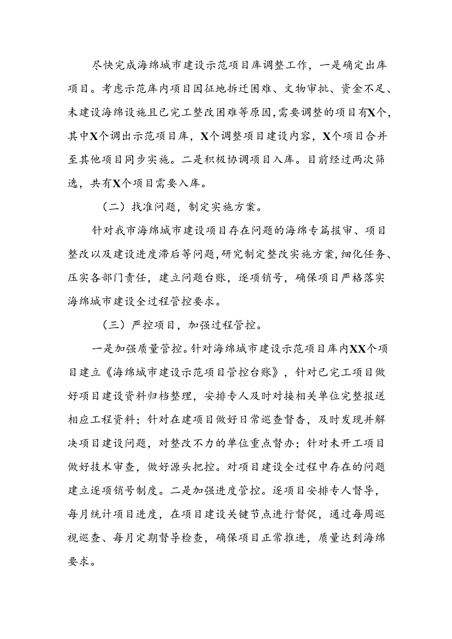 XX市城市管理海绵城市建设收官专项行动实施方案.docx_第2页