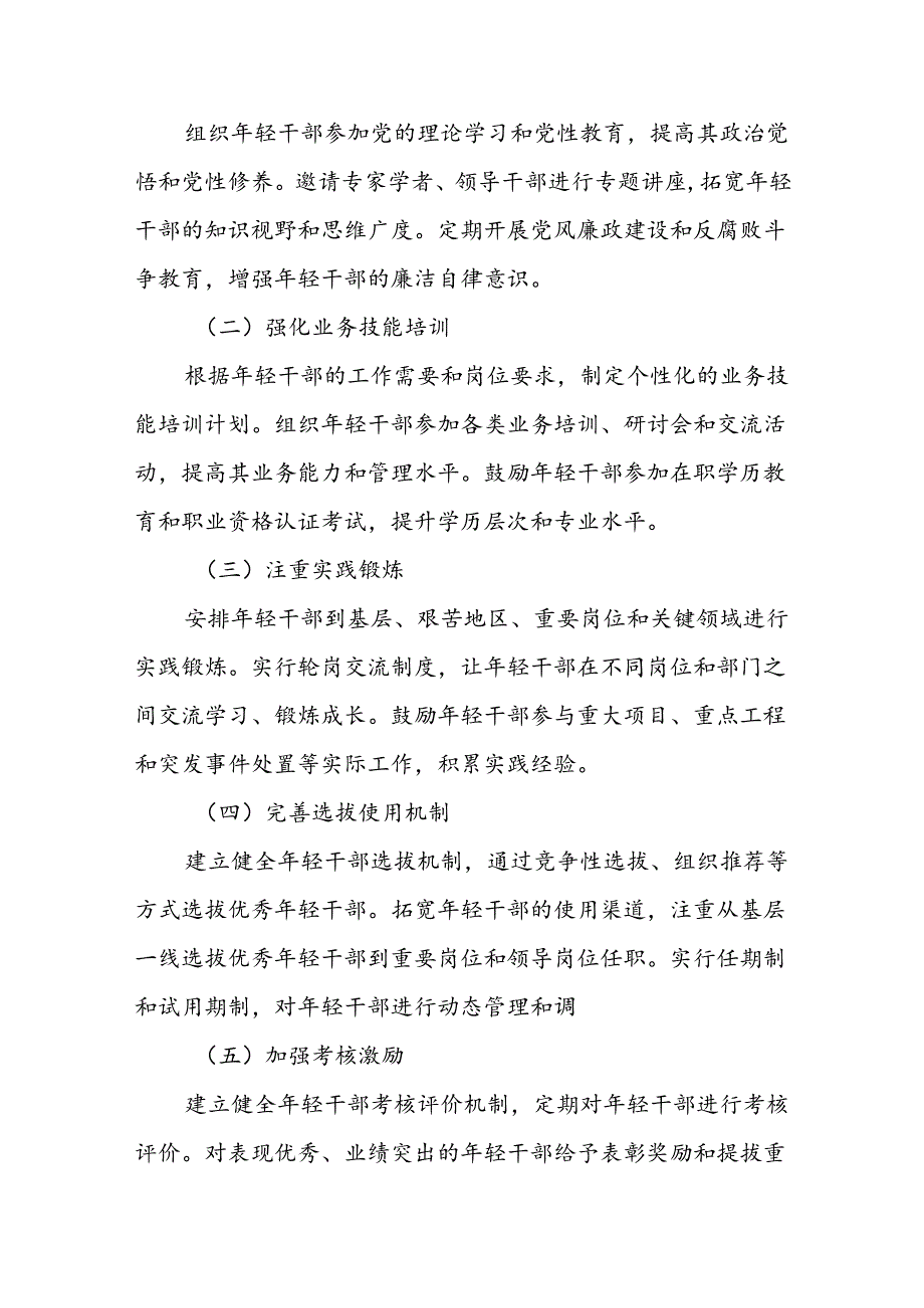 X市年轻干部培养计划的实施方案.docx_第2页