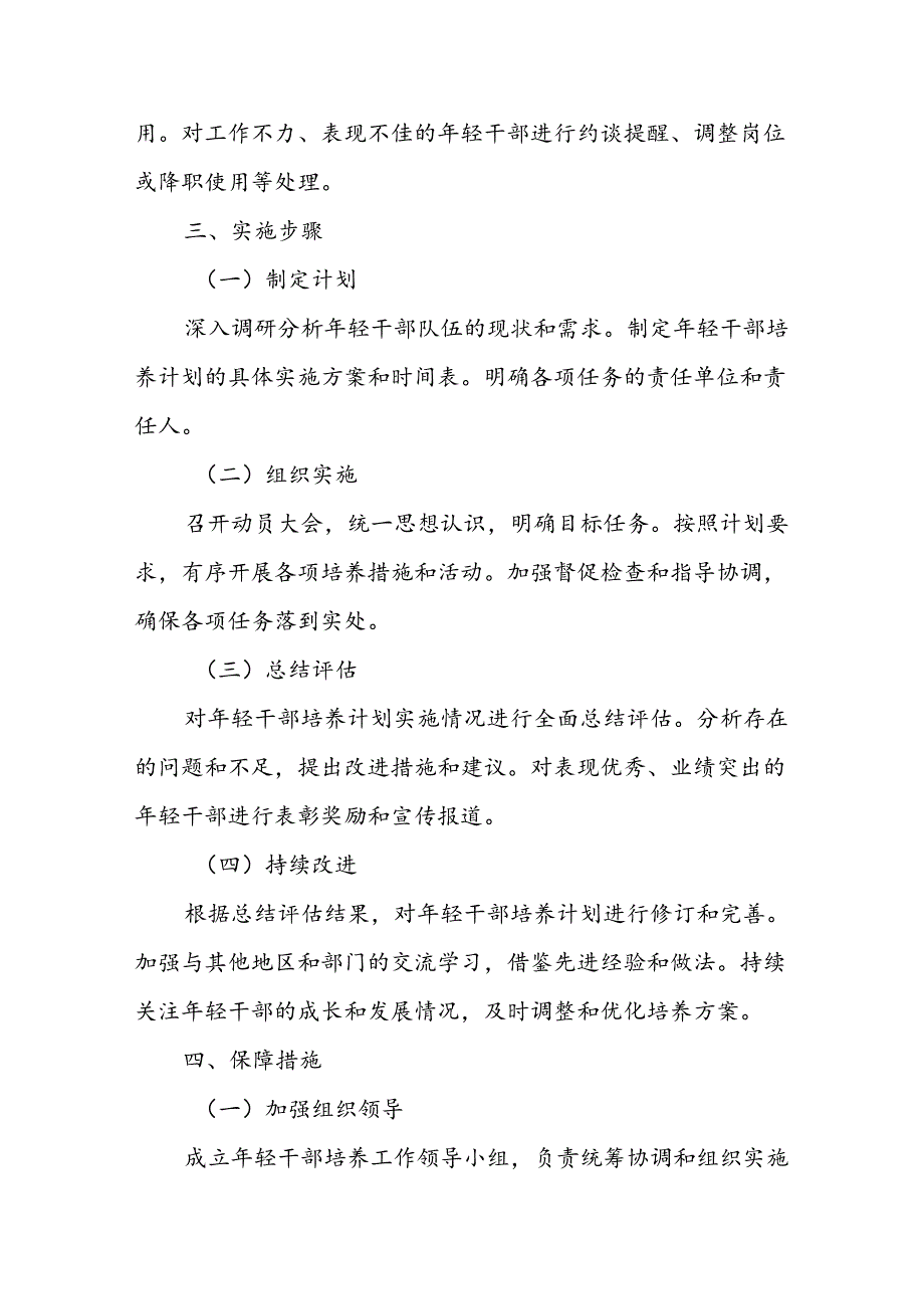 X市年轻干部培养计划的实施方案.docx_第3页