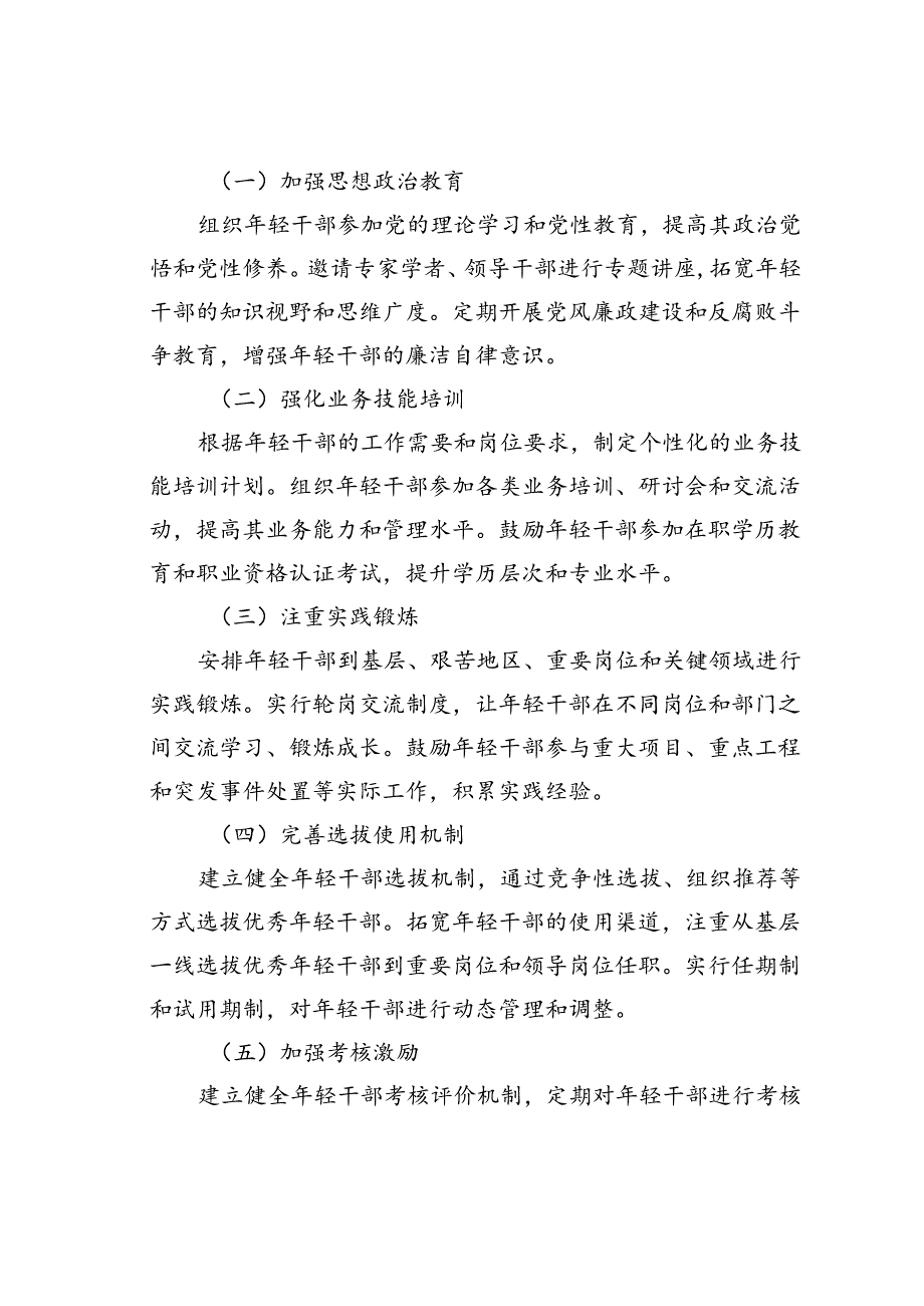 某某市年轻干部培养计划的实施方案.docx_第2页