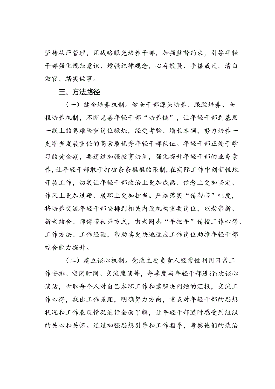 某某中心年轻干部培养计划的实施方案.docx_第2页