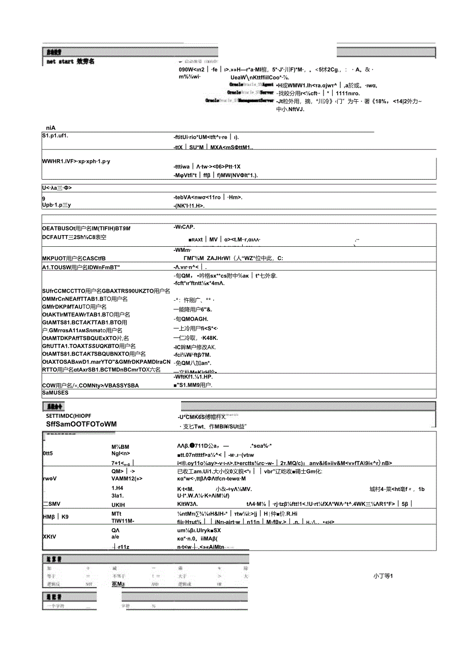 06[Oracle].docx_第1页