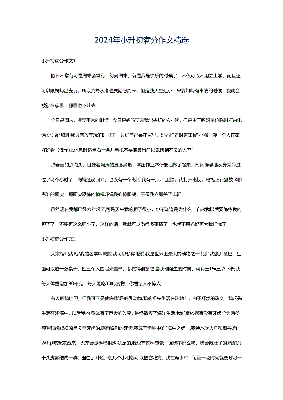 2024年小升初满分作文精选.docx_第1页