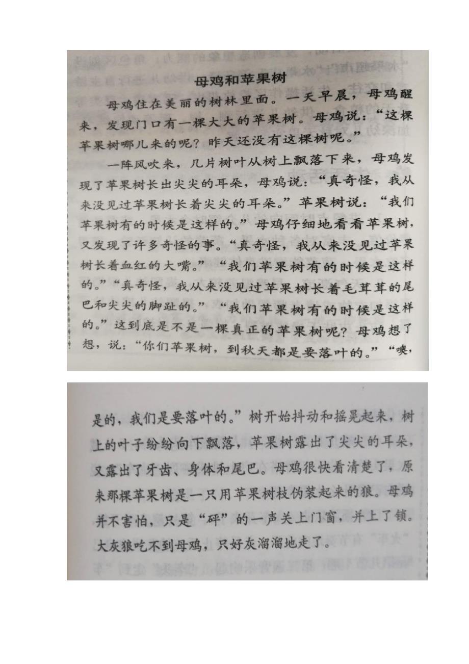 中班语言《母鸡和苹果树》中班语言《母鸡和苹果树》教学设计.docx_第3页