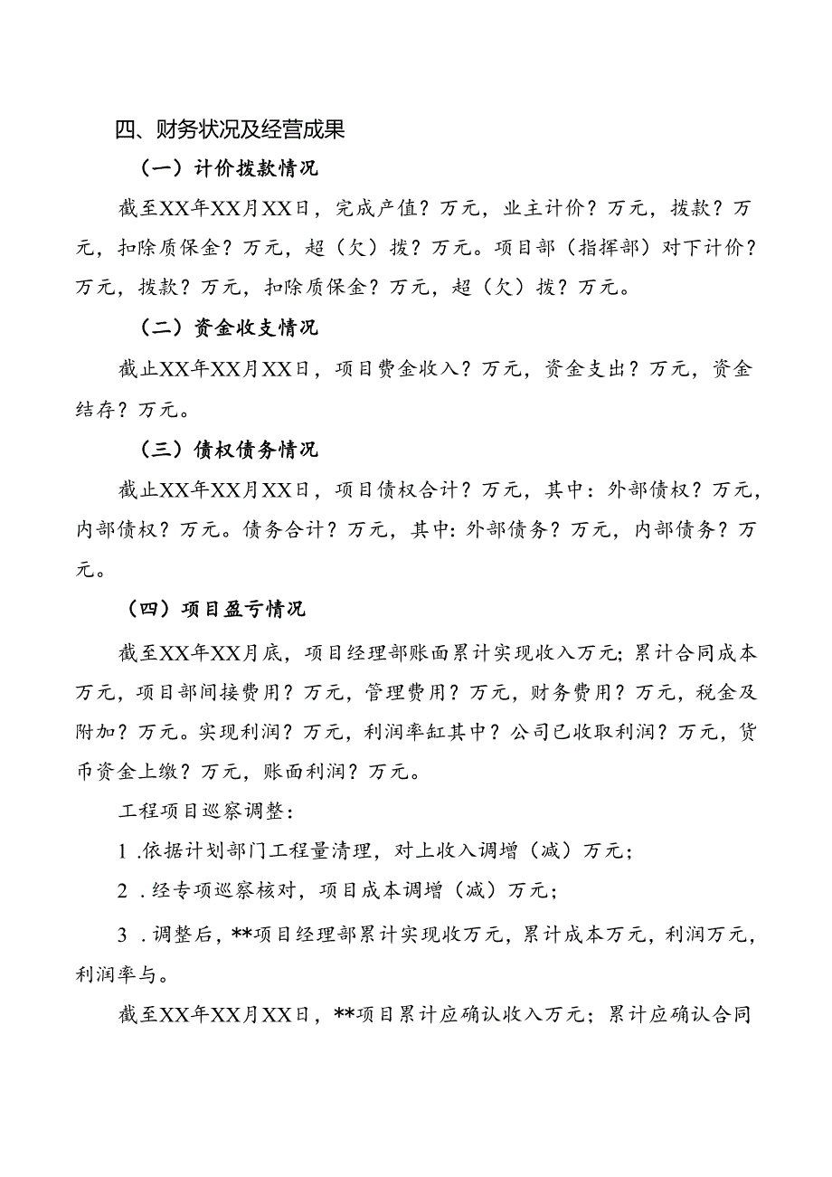 项目专项巡察情况报告.docx_第3页