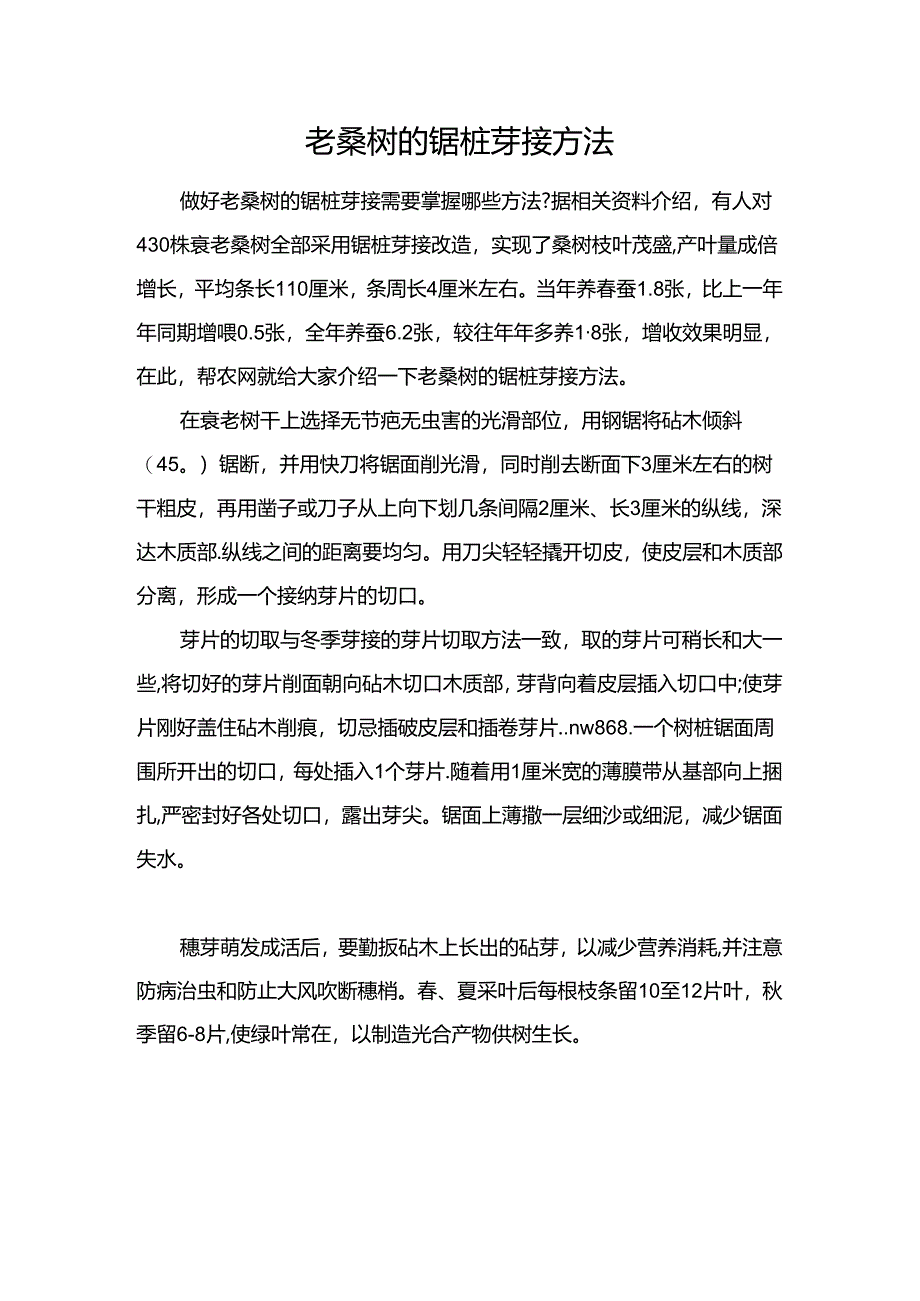 老桑树的锯桩芽接方法.docx_第1页