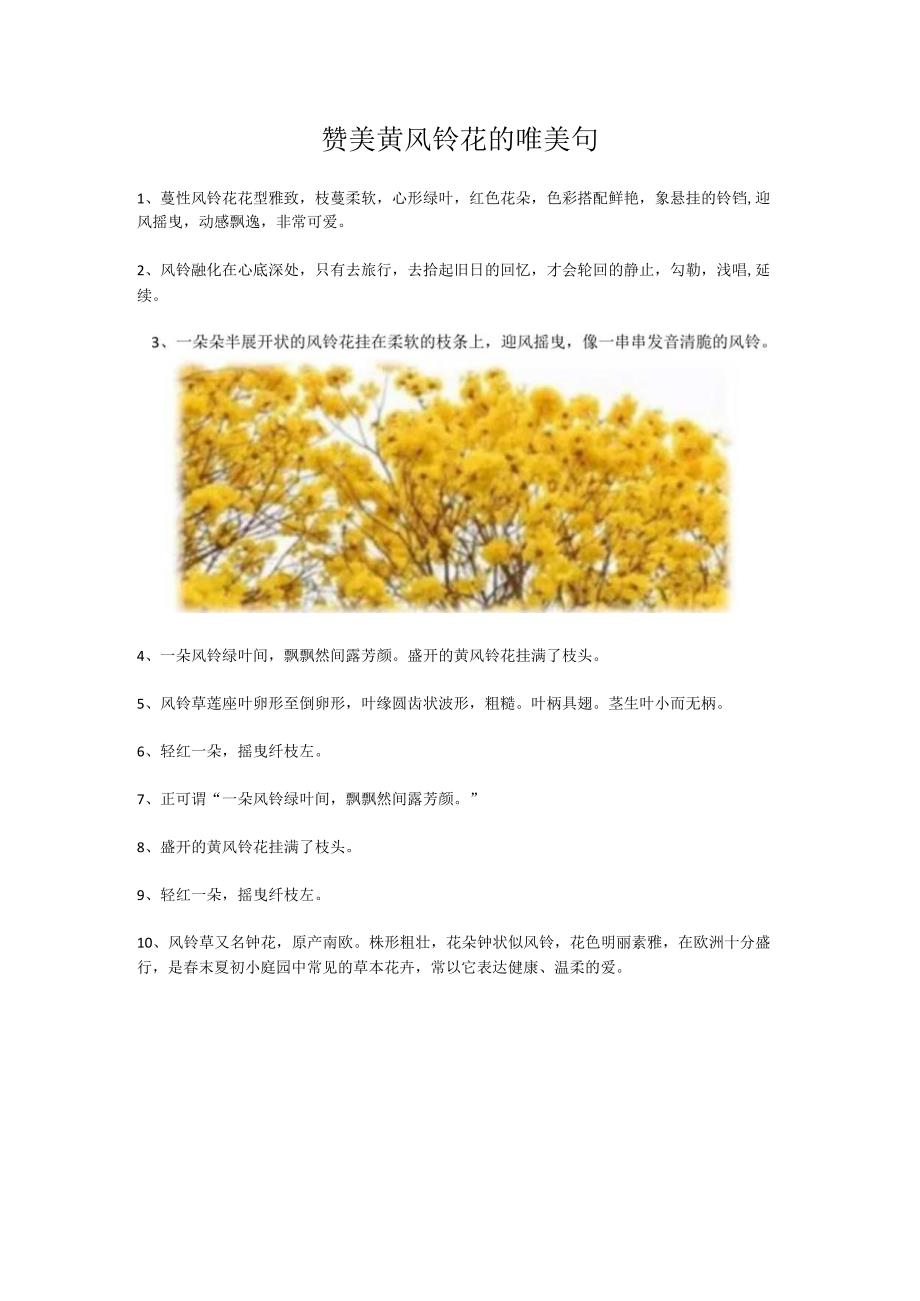 赞美黄风铃花的唯美句.docx_第1页