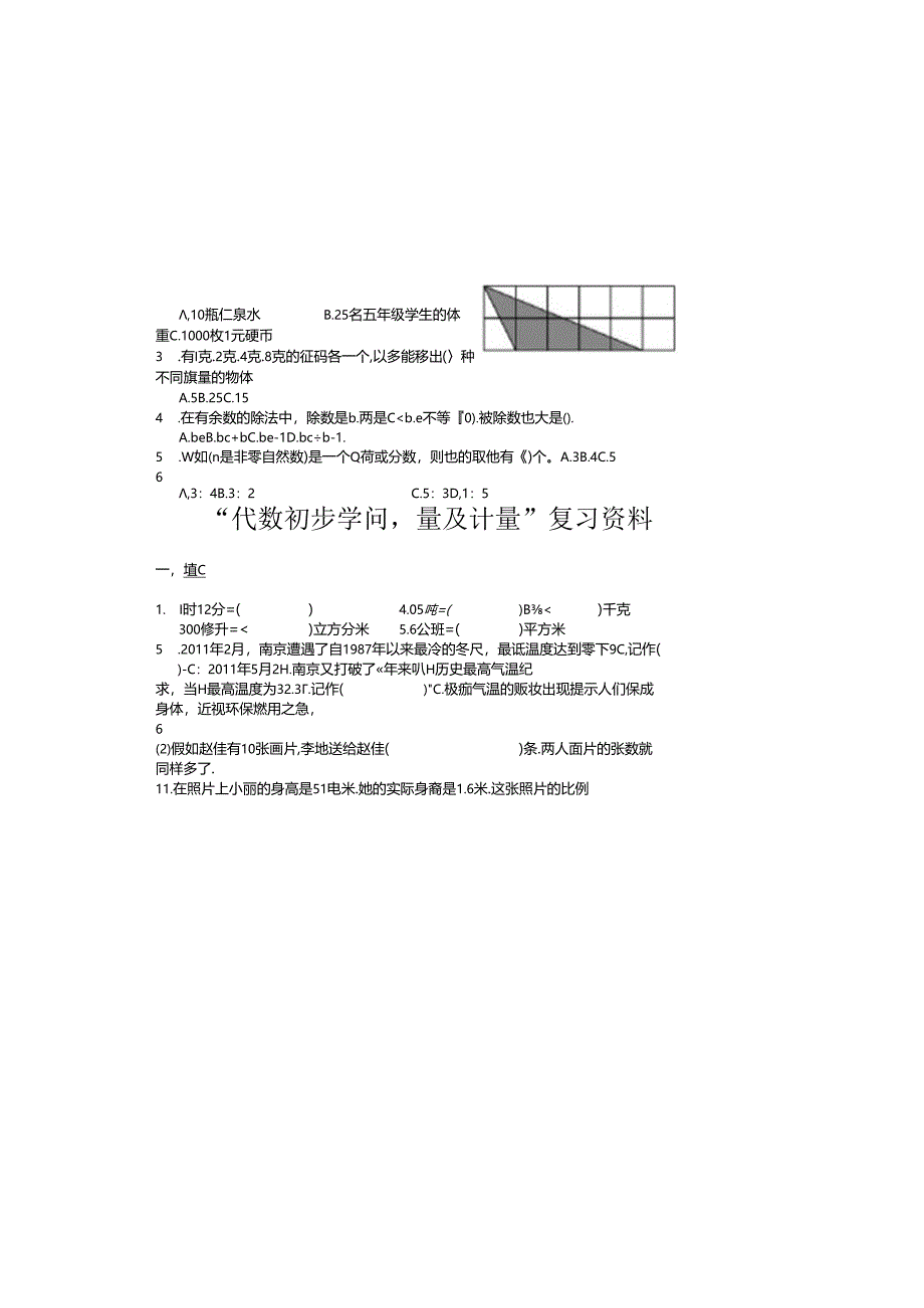 代数初步知识量与计量复习资料.docx_第1页