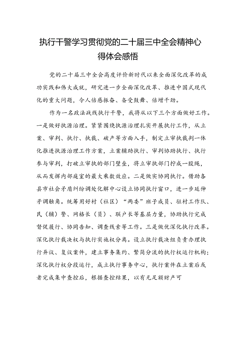 执行干警学习贯彻党的二十届三中全会精神心得体会感悟.docx_第1页