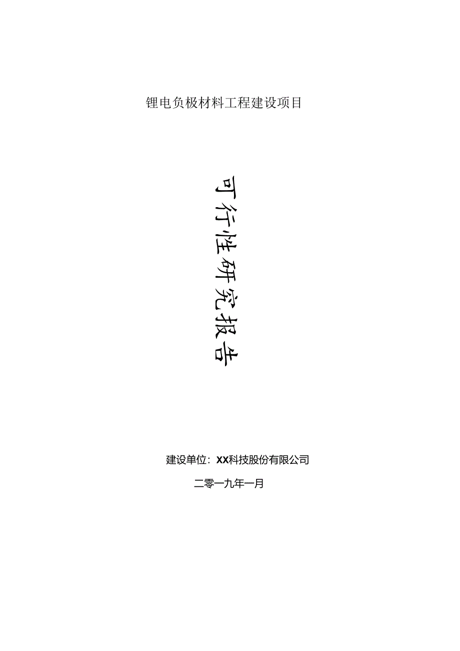 锂电负极材料项目可行性研究报告(建议书模板).docx_第1页