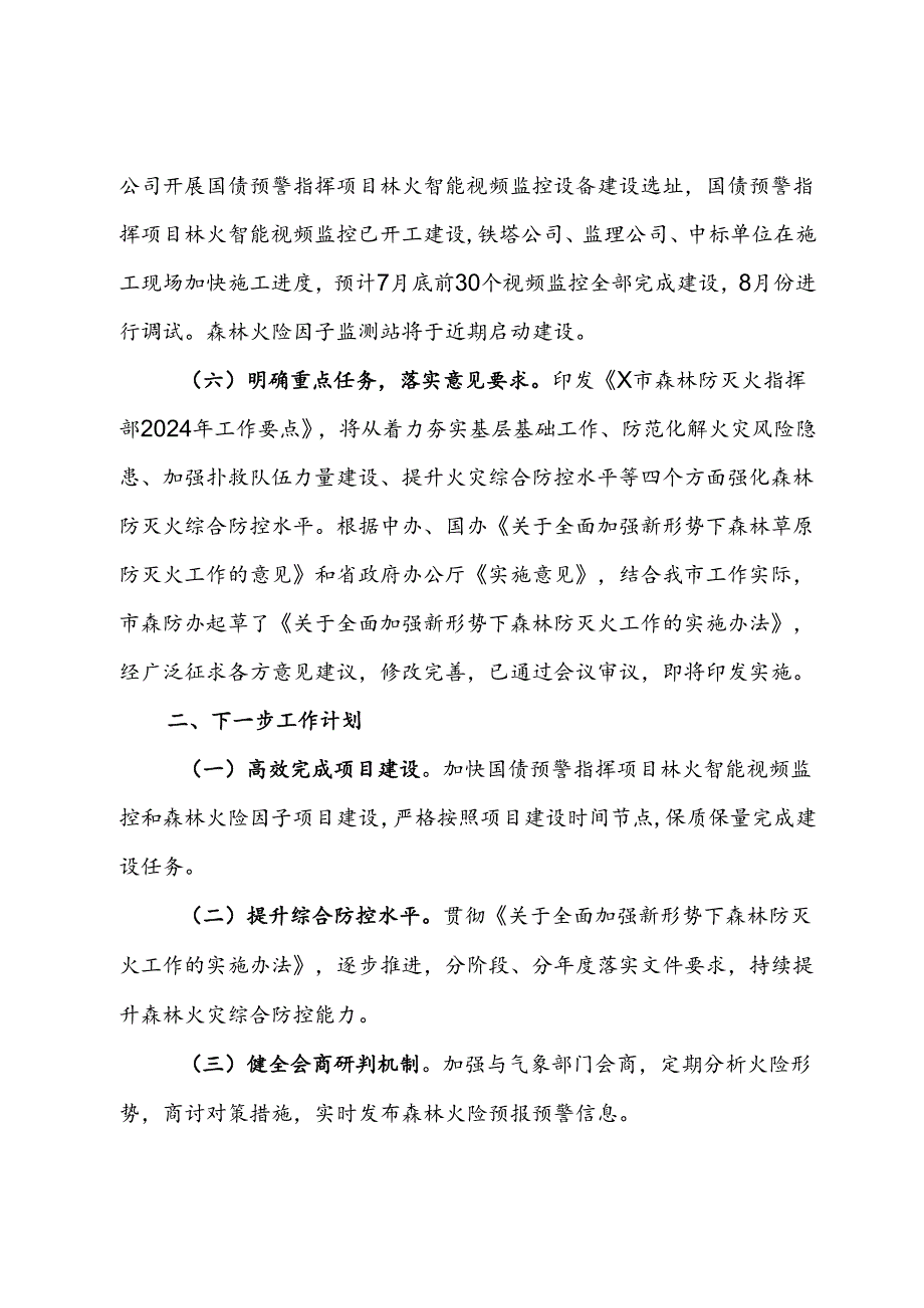 市2024年上半年森林防灭火工作落实情况.docx_第3页