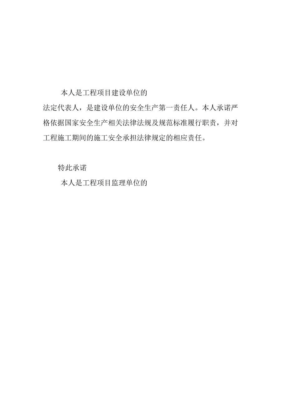 法定代表人项目安全生产承诺书.docx_第1页