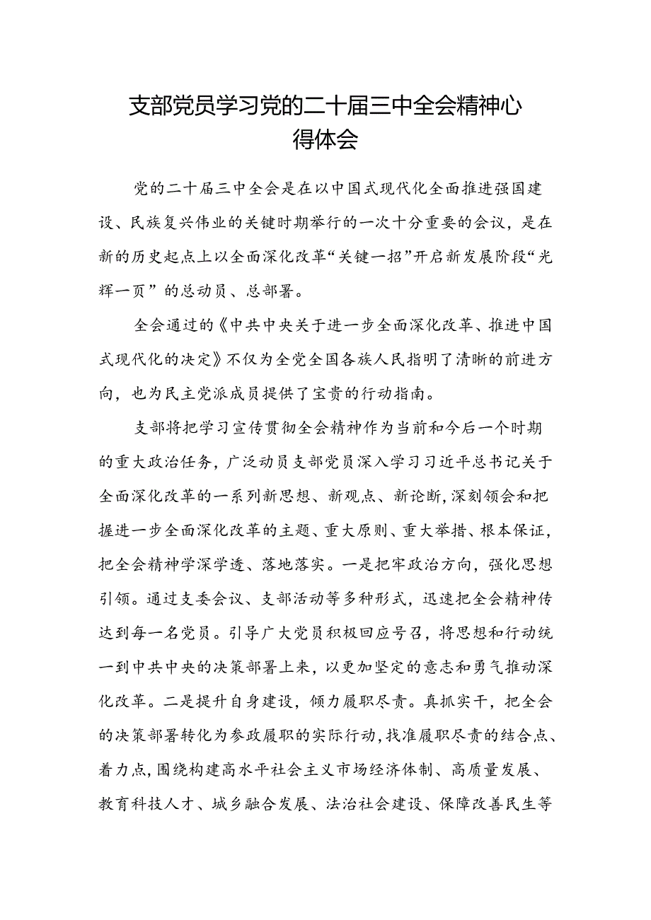 支部党员学习党的二十届三中全会精神心得体会.docx_第1页