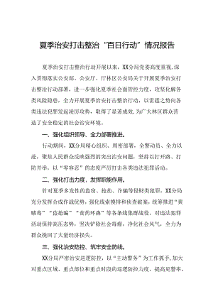 2024年公安夏季治安打击整治行动阶段性情况报告6篇.docx