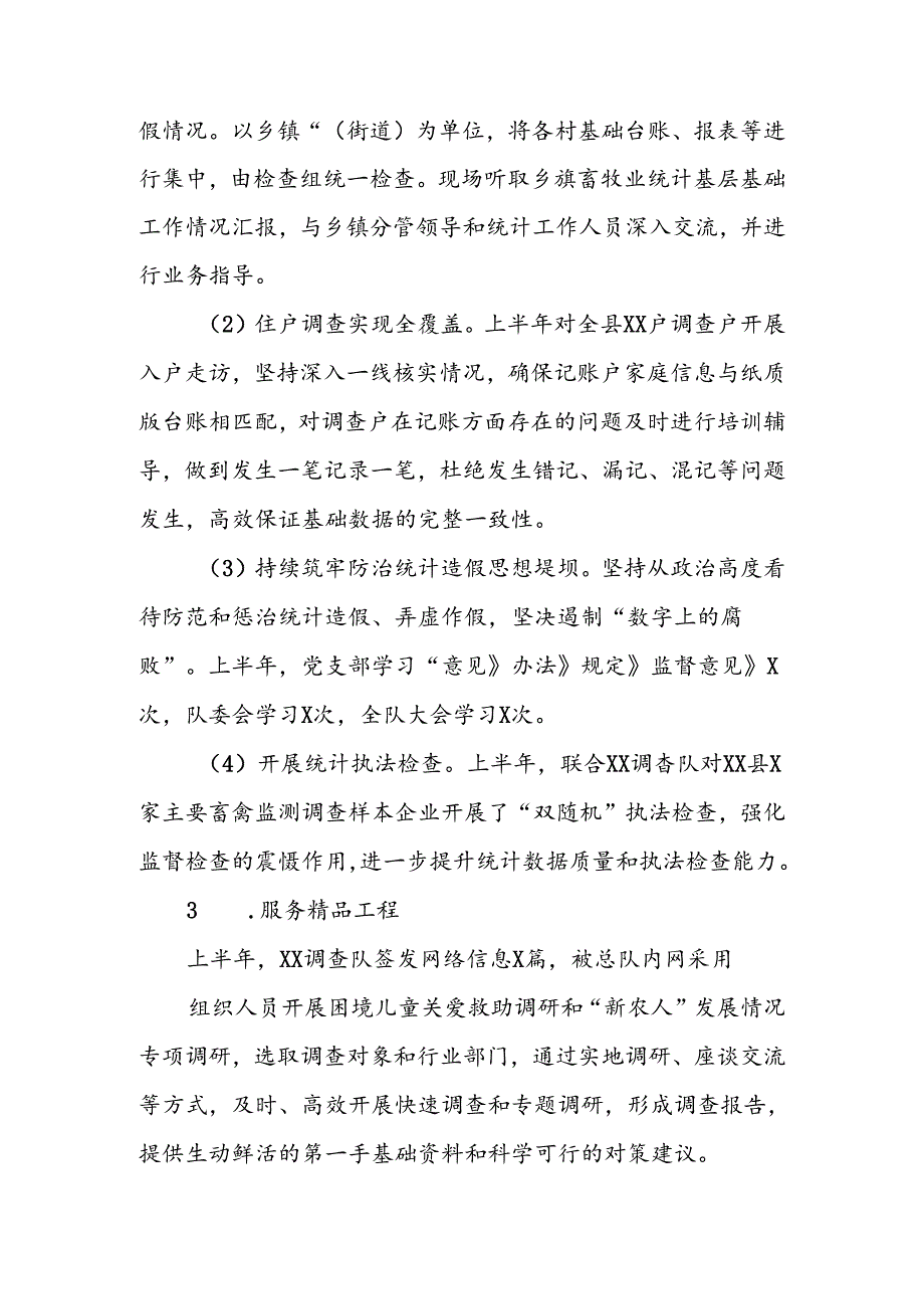 国家 统计局XX调查队2024年上半年工作总结.docx_第3页