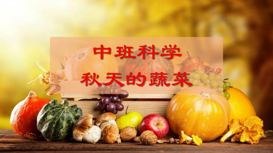 中班科学《天的蔬菜》PPT课件中班科学《天的蔬菜》PPT课件.pptx_第1页