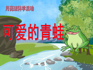中班科学《可爱的青蛙》PPT课件可爱的青蛙.pptx