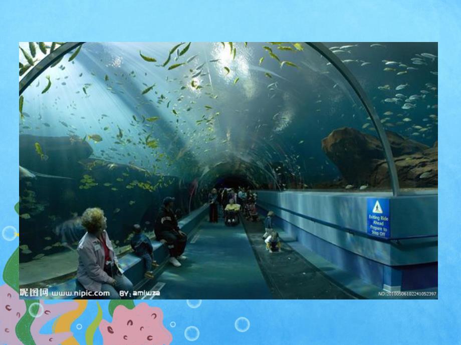 中班《水族馆》PPT课件教案中班水族馆.pptx_第2页