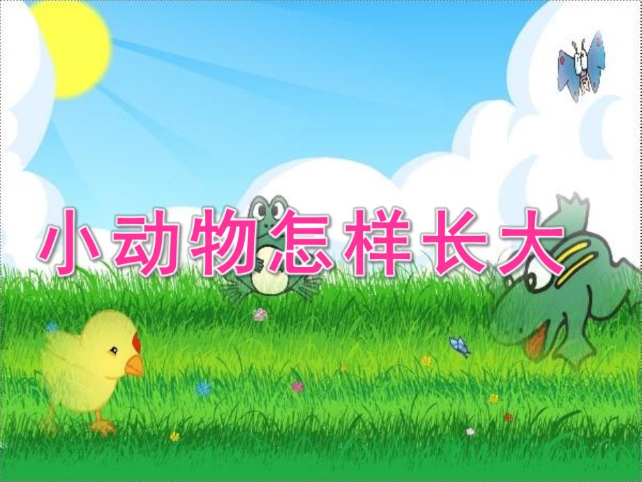 中班科学说课稿《小动物怎样长大》PPT课件幼儿园中班科学《小动物怎样长大》.pptx_第1页