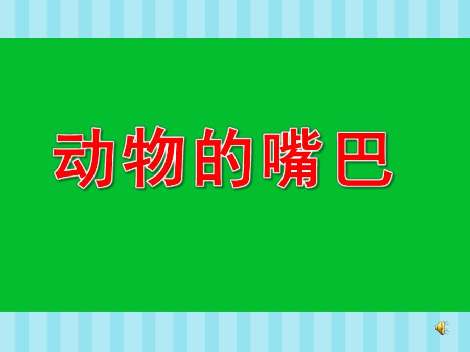 中班科学《动物的嘴巴》PPT课件教案配音ppt课件.pptx_第1页