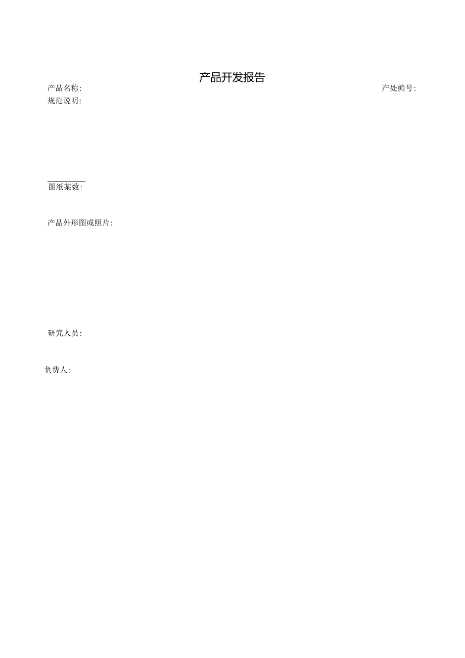 产品开发报告范本.docx_第1页