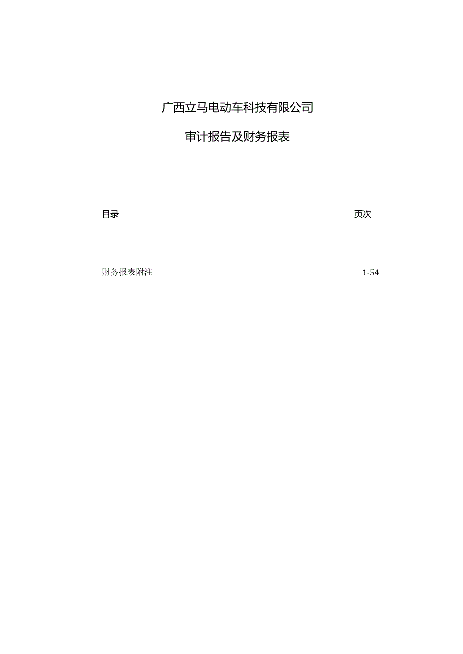 星星科技：广西立马电动车科技有限公司审计报告.docx_第2页