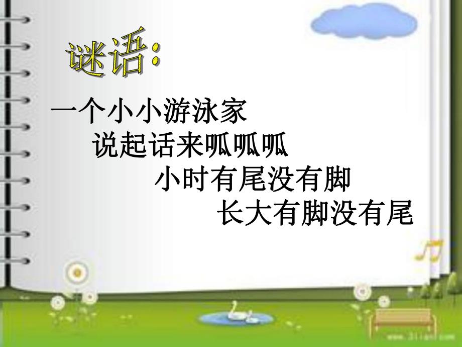 大班语言活动《青蛙歌》PPT课件青蛙歌.pptx_第3页