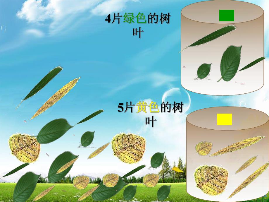 大班数学《树叶分类》PPT课件教案大班数学活动：树叶分类.pptx_第3页