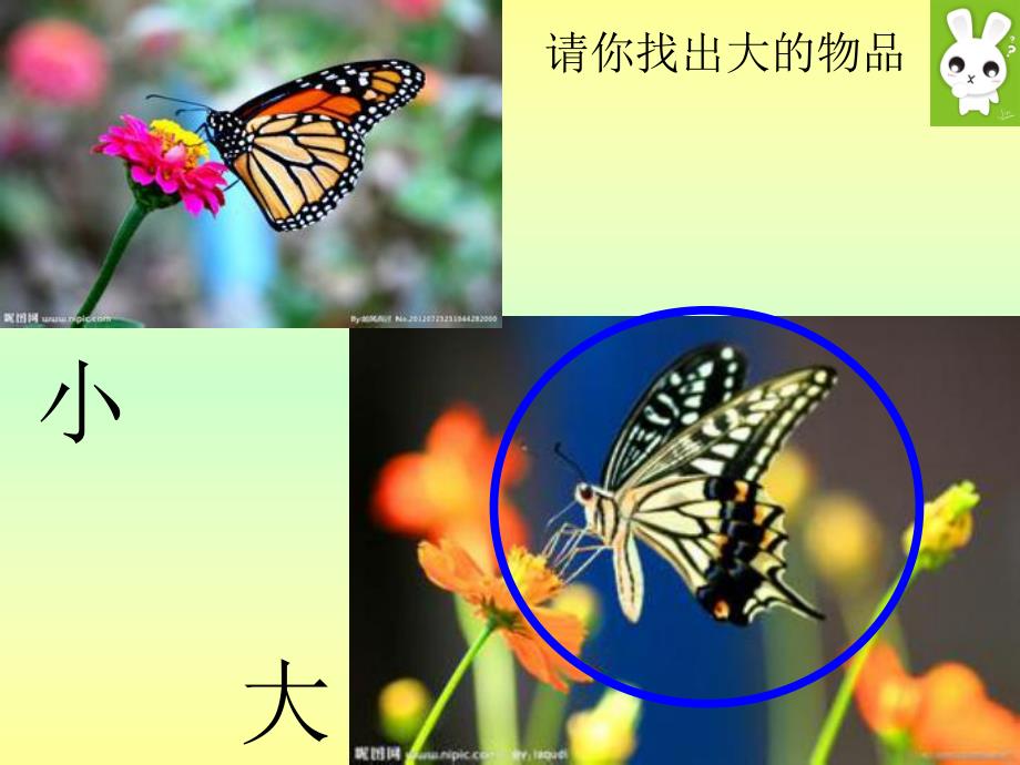 小班数学活动《大大小小》PPT课件教案小班上册—大大小小课件.pptx_第2页