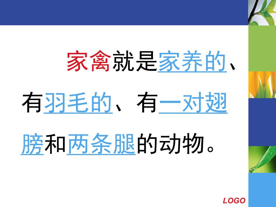 大班常识《家畜和家禽》PPT课件教案家畜和家禽-常识.pptx_第2页