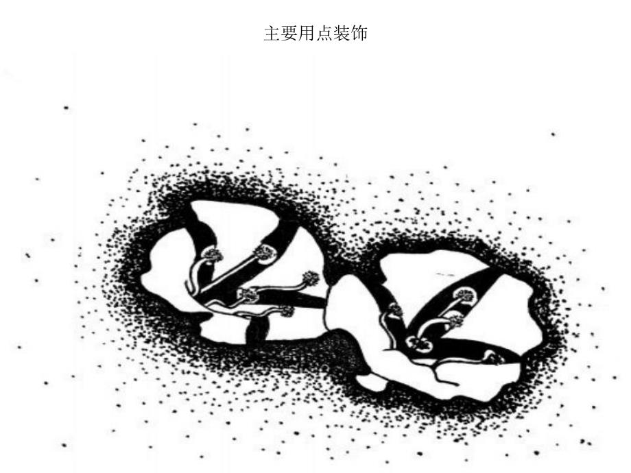 中班美术《黑白装饰画》PPT课件中班美术：黑白装饰画.pptx_第3页