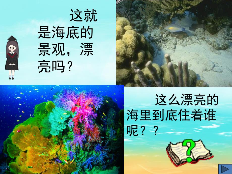 大班科学《海洋生物》PPT课件教案PPT课件.pptx_第2页