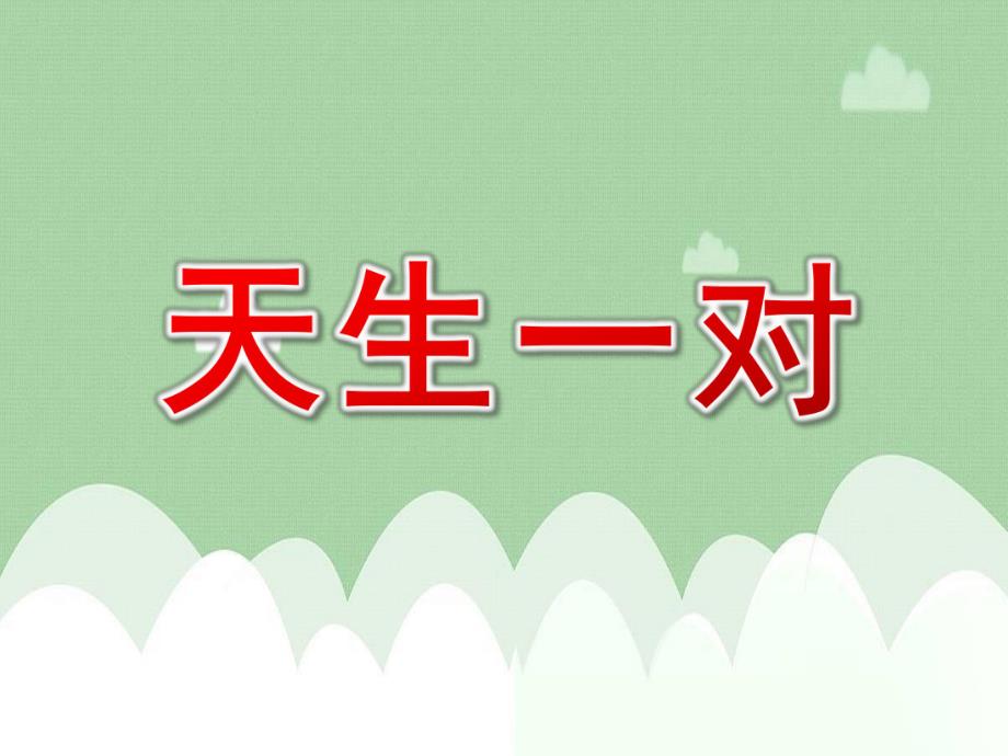 大班语言活动《天生一对》PPT课件教案大班语言《天生一对》课件.pptx_第1页