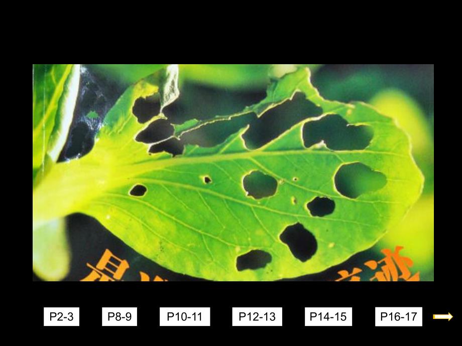 大班阅读《是谁留下的痕迹》PPT课件教案微课件.pptx_第2页