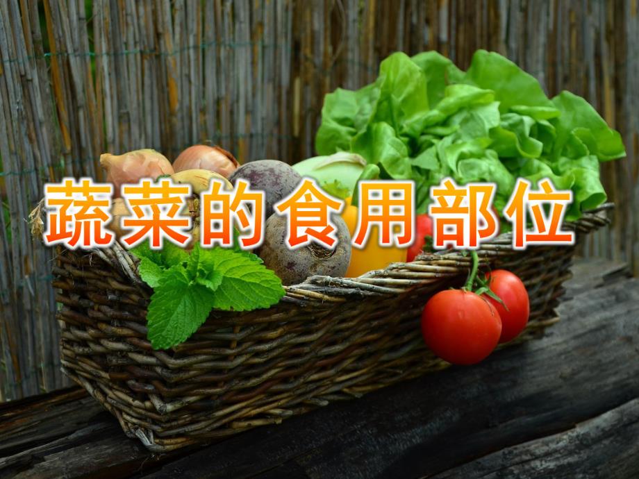 大班健康《蔬菜的食用部位》PPT课件教案PPT课件.pptx_第1页