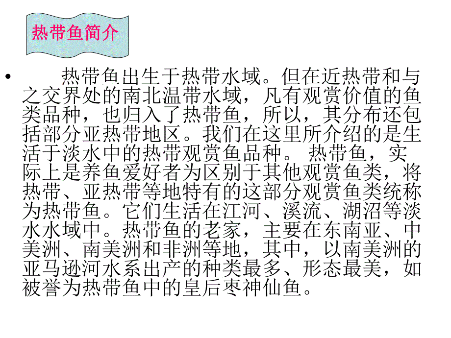 大班艺术彩泥《热带鱼》PPT课件彩泥《热带鱼》.pptx_第2页